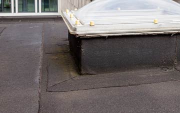 disadvantages of Frogham flat roofs
