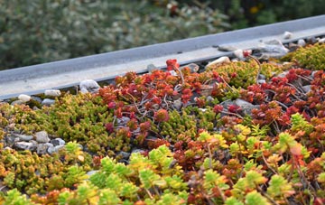 the cost of Frogham green roof installation