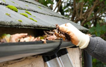 gutter cleaning Frogham