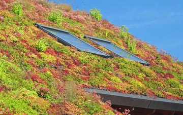 Frogham living roof systems