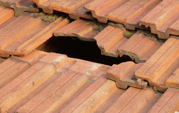 roof repair Frogham